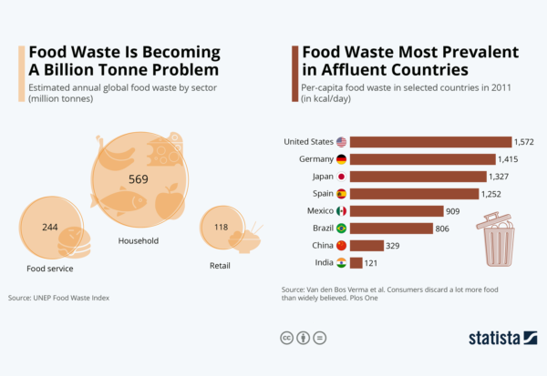 Food Waste Analysis